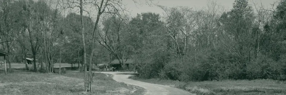 A red clay lane curving past grass and spring trees